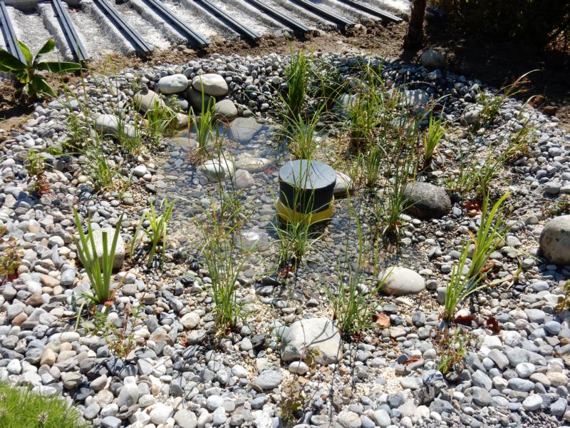 Kiesfilter im Naturpool